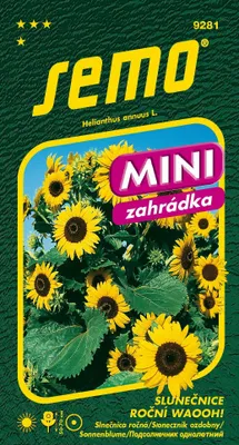 Obrázok produktu pre Semo Slnečnica ročná - Waooh! 0,8g - séria Mini
