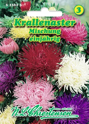 Produktbild von Krallenaster Mischung | Asternsamen von N.L. Chrestensen