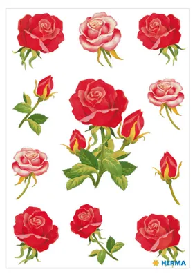 Immagine prodotto di Herma 3581 Adesivo DECOR rose