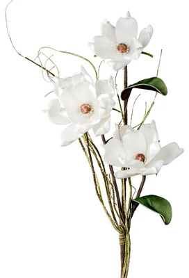 Produktbild von Kunstblume Magnolie formano