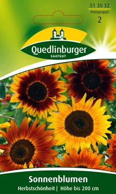 Produktbild von Sonnenblume, Herbstschönheit