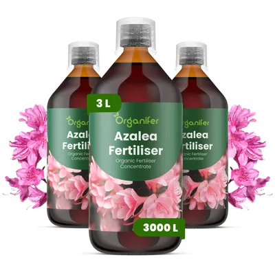 Obrázek produktu pro Azalka Tekuté Hnojivo 3x1 L – 3-4-3 NPK – Pro Kvetoucí Rostliny – Pro Bujné Květy & Silné Kořeny – Podporuje Vitalitu & Zdravé Listy – Organifer
