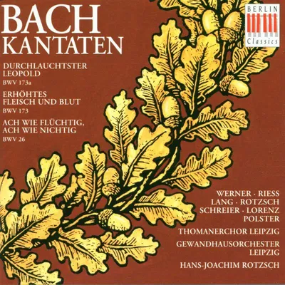 Obrázok produktu pre Kantáty BWV 173a/173/26