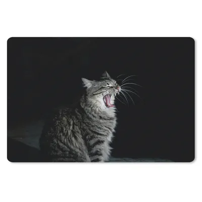Produktbild von MuchoWow® Schreibtischunterlage Gaffende Katze 60x40 cm - XXL Mauspad - Großes Mauspad