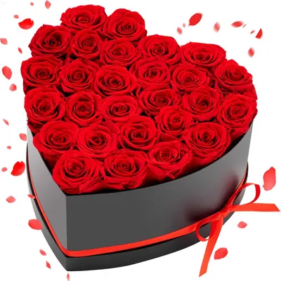 Produktbild von Ewige Rosen - Herzförmige Rosenbox - 27 Stück Echte Konservierte Rosen - Langanhaltend, Pflegefrei - Geschenk Für Frau & Mutter - Hochzeit, Muttertag, Valentinstag - Rot