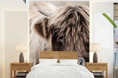 Produktbild von MuchoWow® Fototapete für Wohnzimmer oder Schlafzimmer Wandtapete Vinyl Motivtapete Schottischer Highlander - Tier - Hoorn - 190x260 cm - Papiertapete