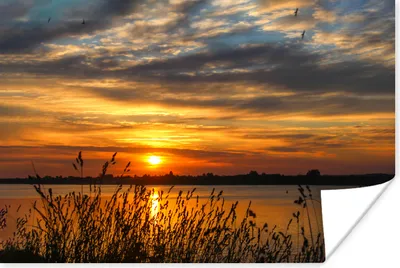 Produktbild von MuchoWow® Poster Sonnenuntergang - Meer - Horizont - Himmel - Pflanzen 90x60 cm - Schlafzimmer