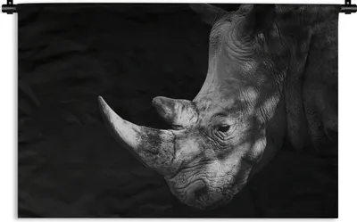 Produktbild von MuchoWow® Wandteppich Wandbehang Rhinozeros auf schwarzem Hintergrund 90x60 cm Tapisserie Dekoration Wandtuch - Wandskulpturen - Bildteppich