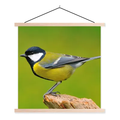 Produktbild von MuchoWow® Textilposter Vogel - Kohlmeise - Tiere - Grün 120x120 cm mit holzfarbenen Rahmen - Textil-Poster