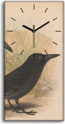 Produktbild von Wandbild Leinwand Bilder mit Uhr 30x60 Vögel Wild Tiere Zeichnung Kunst - schwarze Hände