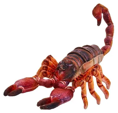 Produktbild von Brauner Skorpion-Plüschtier, 38 cm