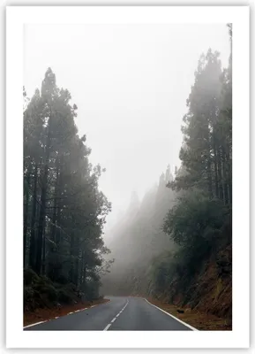 Produktbild von Poster - Poster ohne Rahmen - Weg Nebel Straße - 50x70 cm - Wand Bild - Wanddeko - Wandbilder - Kunstposter - Wandposter - Bilder - Kunstdruck - Wanddekoration - Wandbild - P2XPA50x70-5168