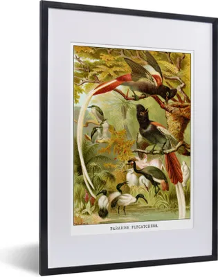 Produktbild von MuchoWow® MuchoWow® Gerahmtes Poster Antiker Vogeldruck Fliegenschnäpper 30x40 cm - Poster mit zchwarzem Bilderrahmen - Wandposter Schlafzimmer