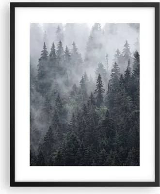 Produktbild von Gerahmtes Poster - Schwarzer Rahmen - Wald Baum Natur - 40x50 cm - Wand Bild - Wanddeko - Wandbilder - Kunstposter - Wandposter - Bilderrahmen - Bilder - Kunstdruck - Wandbild - P2BPA40x50-4074