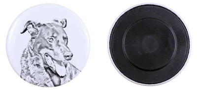 Image de Beauceron aimant avec petit chien Art-Dog