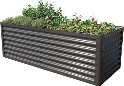 A raised garden bed filled with plants, including strawberries.