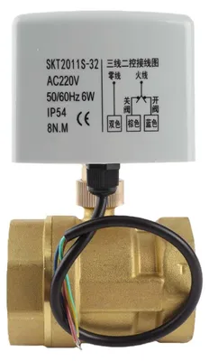 Zdjęcie produktu dla Zawór kulowy elektryczny 2 cale - Zawór mosiężny 2-drożny - AC220V