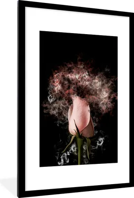 Produktbild von MuchoWow® MuchoWow® Gerahmtes Poster Blumen - Rauch - Rosa 60x90 cm - Poster mit zchwarzem Bilderrahmen - Dekoration - Wandposter Wohnzimmer - Hochwertig