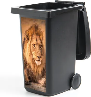 Produktbild von MuchoWow® Mülltonnenaufkleber Löwe - Nahaufnahme - Savanne 38x80 cm - Behälteraufkleber - Mülleimer-Aufkleber - Container-Aufkleber