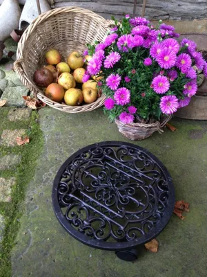 Produktbild von Blumen-Untersetzer als Rollbrett f Blumentöpfe, stabiler Antik-Pflanzentrolley