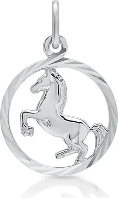 Produktbild von Pferde Kettenanhänger aus Sterlingsilber SP0386