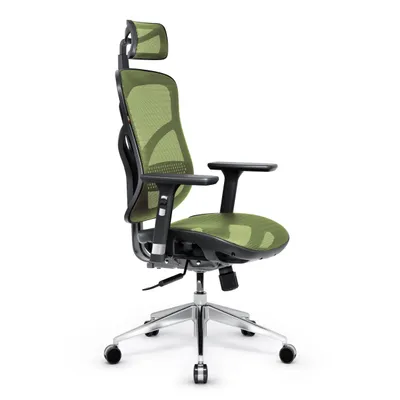 Produktbild von Diablo V-Basic Bürostuhl Ergonomisch Schreibtischstuhl Drehstuhl mit integrierter Lendenwirbelstütze 3D Armlehnen Verstellbare Kopfstütze Wippfunktion Höhenverstellbar, Farbe: Schwarz-Grün