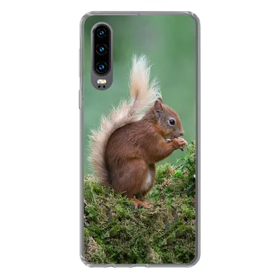 Produktbild von MuchoWow® Handyhülle Schutzhülle Hülle für Huawei P30 Eichhörnchen - Wald - Moos Silikon Softcase Handy Hülle - Kartenbesitzer