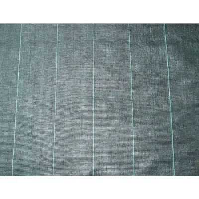 Image de Tissu de protection pour sol contre les mauvaises herbes Nature 2×5 m Noir