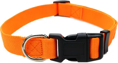 Produktbild von Robustes Hundehalsband aus Nylon – stufenlos verstellbar, leicht & bequem – für Welpen, kleine & große Hunde – S, M & L Größe L Orange