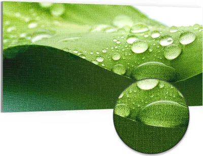 Produktbild von DEQORI Hybrid Leinwand Bild 100x50 cm 'Tropfenfrische' Wandbild Glas flach modern