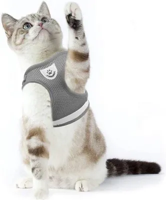 Produktbild von Famanu Katzenharness für Katzen und Welpen - M, grau