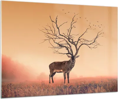 Produktbild von Bilder auf glas - Hirsch Baum Nebel Wald - 100x70cm - Glasbilder - Wandbilder - Kunstdruck - zum Aufhängen bereit - Wanddekoration aus Glas - Glas Bilder - Wandbild auf Glas - GAA100x70-3127