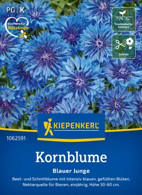 Artikelbild 2 von 'Kornblumen Blauer Junge' aus der Kategorie Kornblumensamen