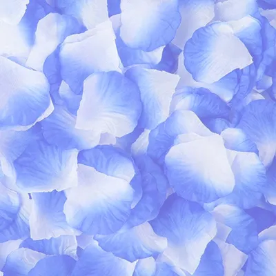 Produktbild von 100 Rosenblätter, Blau hell
