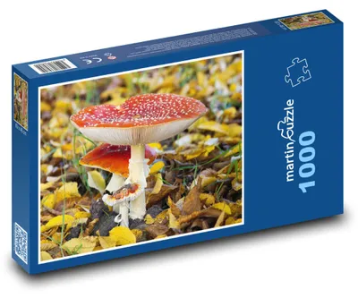 Produktbild von Puzzle 1000 Waldpilzflut - martinpuzzle