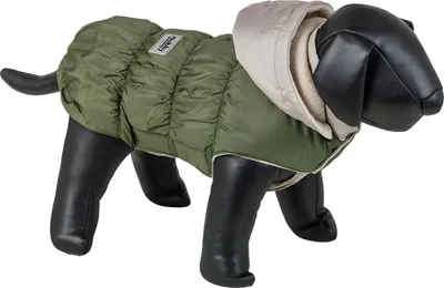 Immagine prodotto di Manto impermeabile per cani Nobby, colore verde oliva, taglia 23 cm