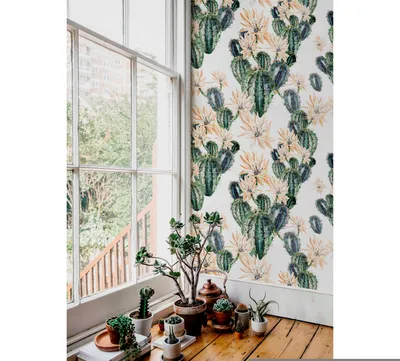 Produktbild von Coloray Fototapete 360x250 cm Latextapete Magicstick - Kaktus blüht Blumen