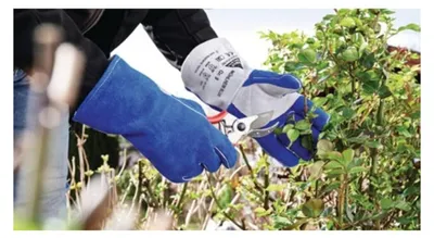Produktbild von Schweißerhandschuhe Mühlheim Blue Gr.12 blau/grau Rindspaltleder