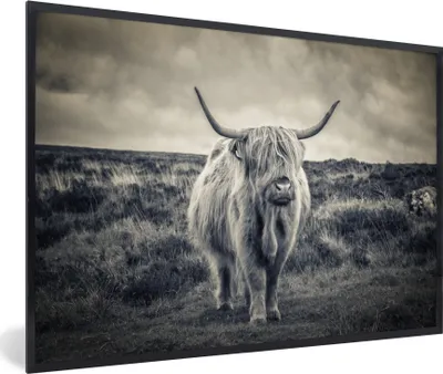 Produktbild von MuchoWow® MuchoWow® Gerahmtes Poster Schottisches Hochlandrind - Tiere - Wolken - Kuh - Natur 60x40 cm - Poster mit zchwarzem Bilderrahmen - Printing - Wanddeko Schlafzimmer