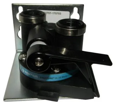 Immagine prodotto di Testata Everpure QL3B EV4313-13