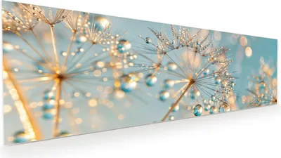 Produktbild von Glasbild 120x40cm in XXL für Wohnzimmer, Schlafzimmer Motiv Pusteblume Wassertropfen