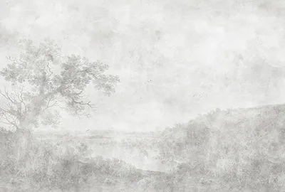 Produktbild von Tadessi Fototapete | Wald | 4.00 m  x 2.70 m | Grau | Weiß | Wandbild | Digitaldruck
