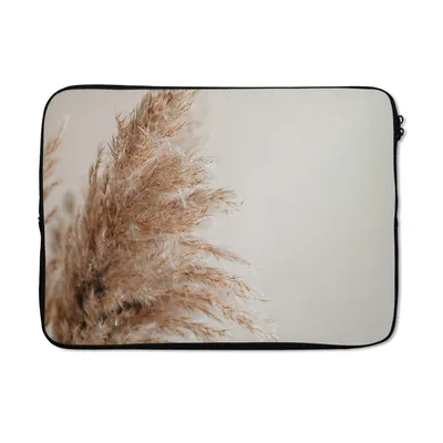 Produktbild von MuchoWow® Laptop Hülle 13 Zoll Gras - Pflanzen - Natur - Pampasgras Laptoptasche - Laptophülle - Sleeve - Rundumschutz