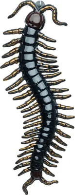 Productafbeelding van Zwarte hangende duizendpoten, 90 cm