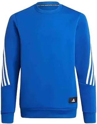 Produktbild von Sweatshirt Adidas H07363 für Kinder