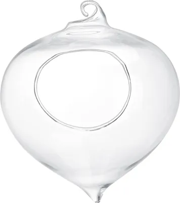 Immagine prodotto di Vaso da fiori, contenitore per piante grasse, vaso di vetro sospeso, decorazione del giardino di casa