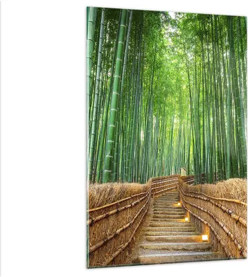 Produktbild von Bilder auf glas - Einteilig - Bambus Pflanze - 80x120cm - Glasbilder - Wandbilder - Bilder - zum Aufhängen bereit - Wanddekoration aus Glas - Glas Bilder - Wandbild auf Glas - GPA80x120-3979