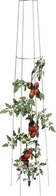 Produktbild von Tomaten-Rankgitter Stahl 135 x 28 cm silber