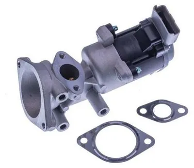 Image de EBG Vanne EGR Land Rover LR006988 LR009809 LR018323 LR006960 LR004533