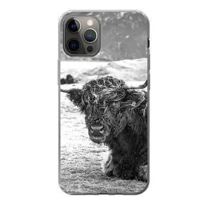 Produktbild von MuchoWow® Handyhülle Schutzhülle Hülle für iPhone 12 Pro Schottischer Highlander - Berg - Tiere Silikon Softcase Handy Hülle - Abdeckung